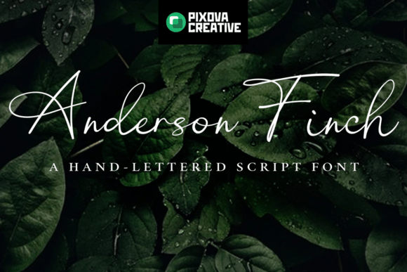 Anderson Finch Typeface Review for Digital Brands
