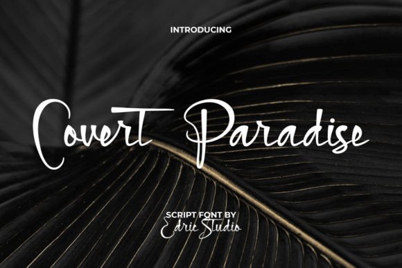 Covert Paradise: A Web Designer’s Take on Stylish Script Fonts