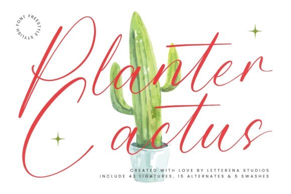 Planter Cactus: The Luxury Script Font for Campaign Clarity