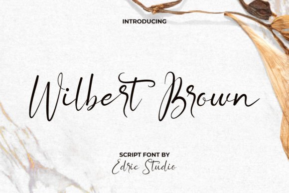 Wilbert Brown: The Script Font That Polished Our Brand Identity
